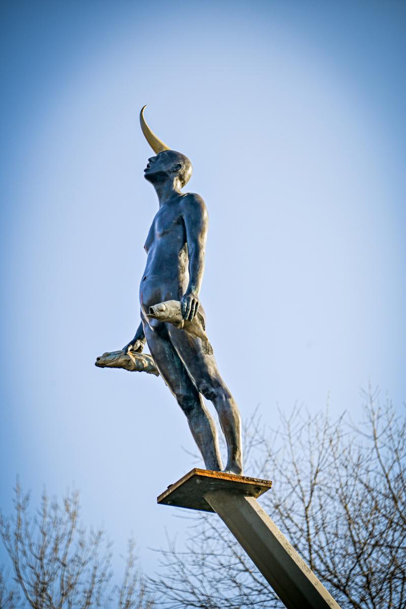 The Wanderer - kunstwerk