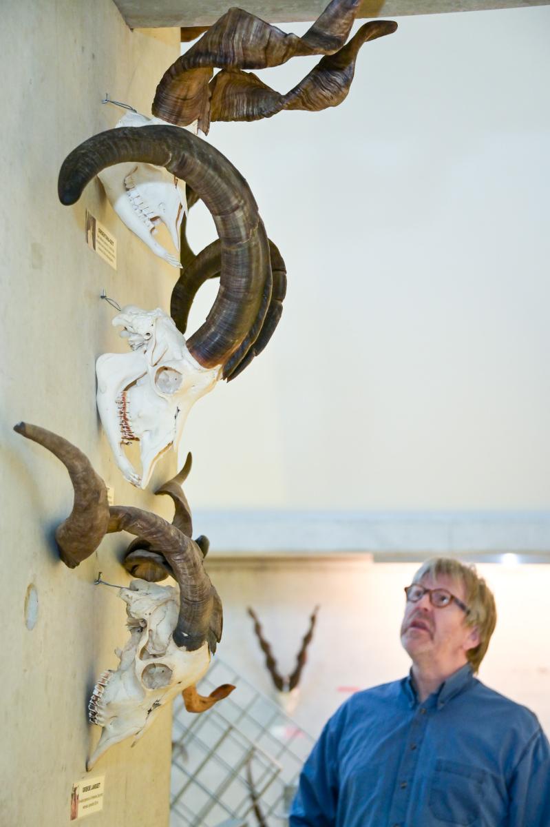 Luc Tyteca van MuseOs