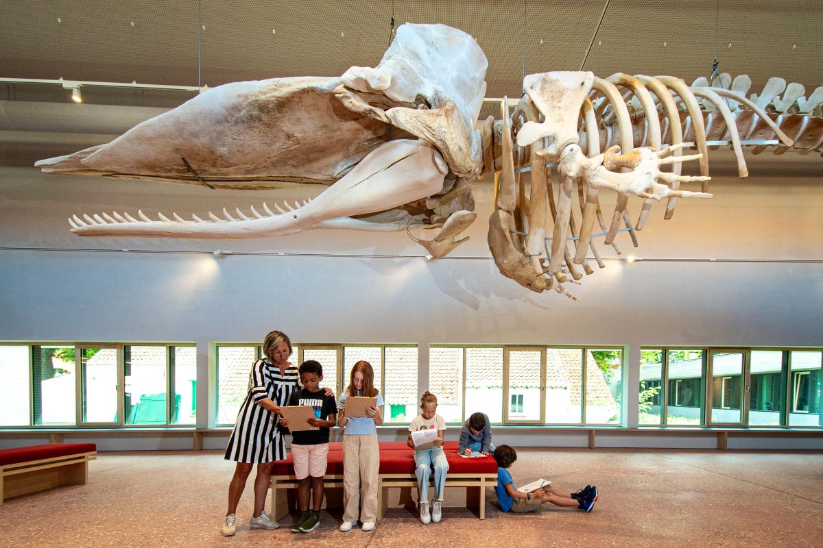 NAVIGO Visserijmuseum