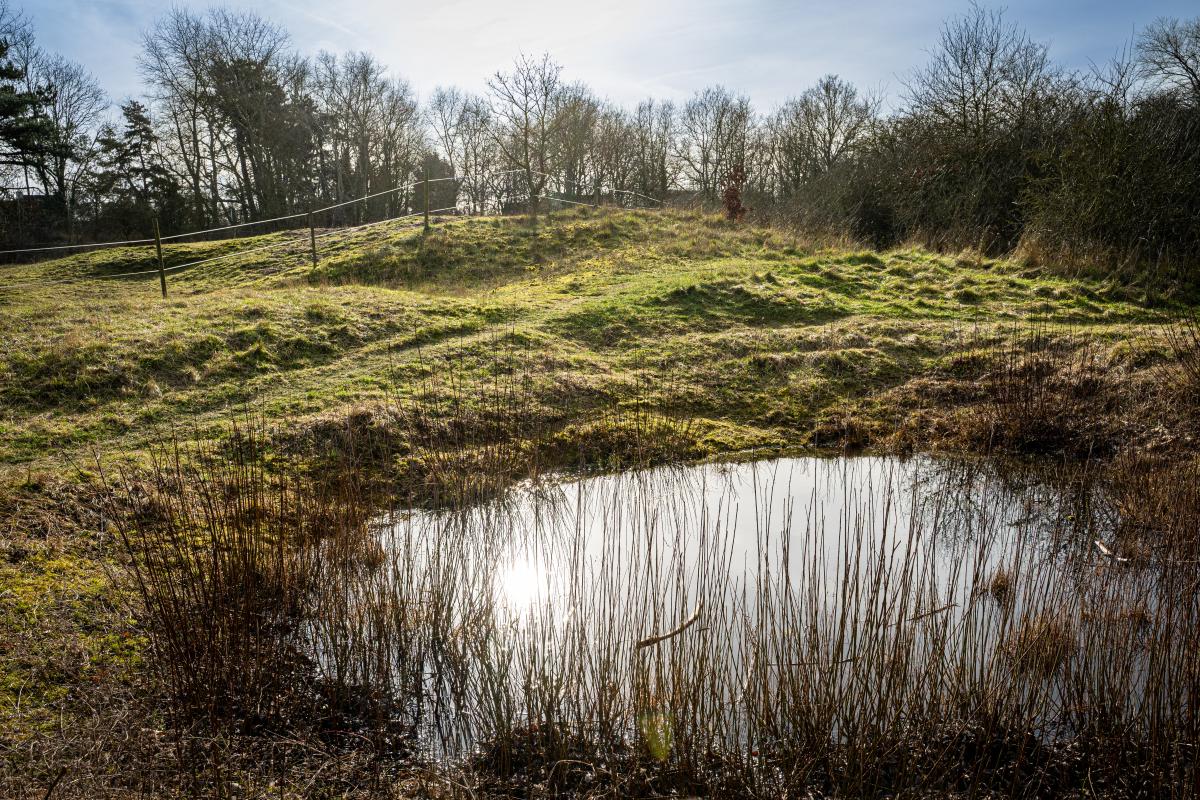Achter de begraafplaats van Oostduinkerke-Dorp vind je de Oostvoorduinen: een zacht golvend duingebied van 64 hectare.