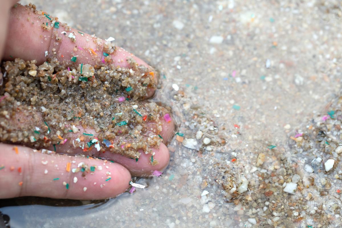 Microplastics in zee 