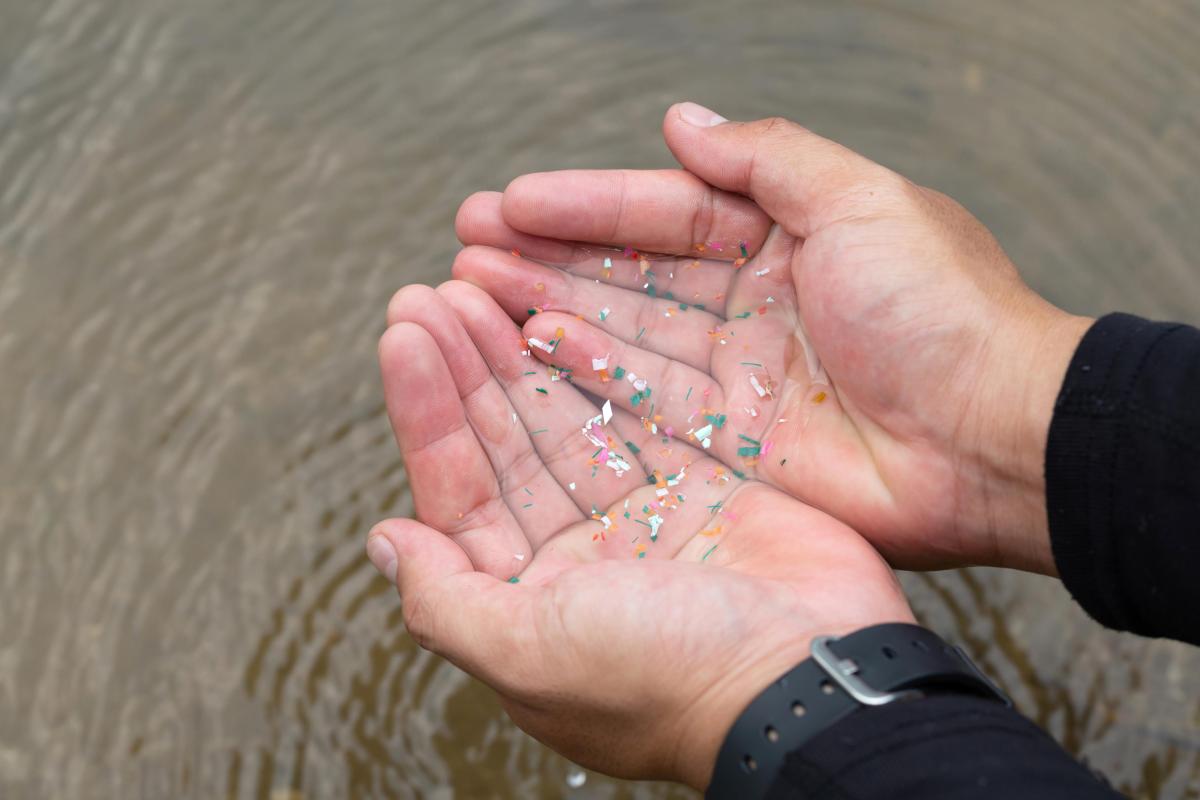 In Tij-dingen mei vertelde professor Jana Asselman (UGent) eerder al hoe plastic zich ophoopt in het strandzand en de zeebodem voor onze kust. De bevindingen van Wim sluiten daar naadloos op aan: van Alpenmeer tot Noordzeestrand, het is één verhaal.