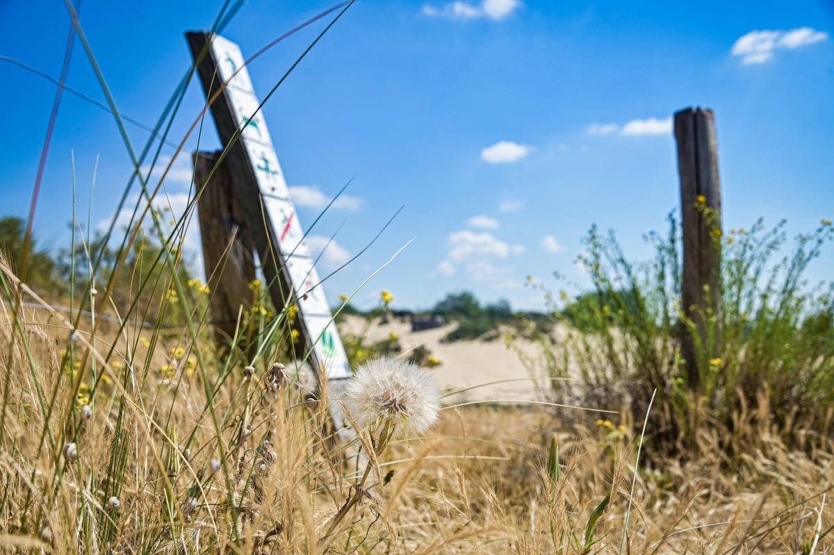 Ter Yde krijgt prominente rol in boek met mooiste fotolocaties