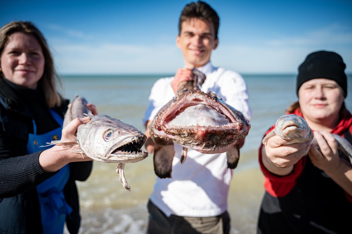 Wie in Koksijde vis koopt, stapt al lang niet meer gewoon een viswinkel binnen. Onze vishandelaars zijn uitgegroeid tot echte smaakadressen, waar vakkennis, verse aanvoer en verfijnde bereidingen samenkomen.