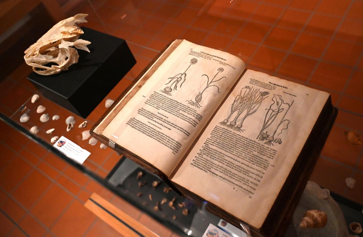 Kruidenboek uit 1581